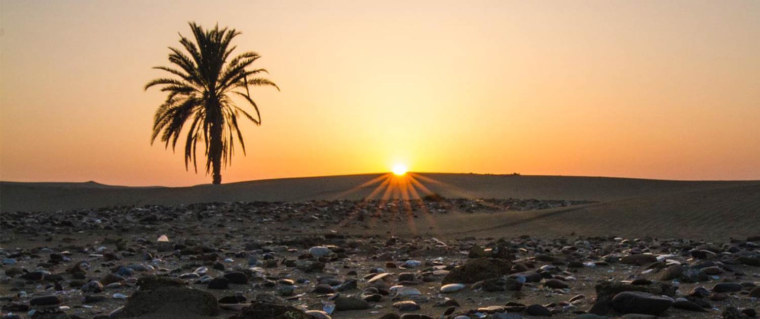 Darak, Where The Sea Meets The Desert
