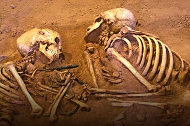 Iran Archaeological and Educational Tour