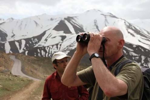 Iran Birding Tour – From Hyrcanian Forests To The Central Deserts Of Iran