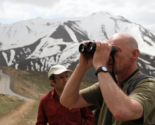 Iran Birding Tour – From Hyrcanian Forests To The Central Deserts Of Iran