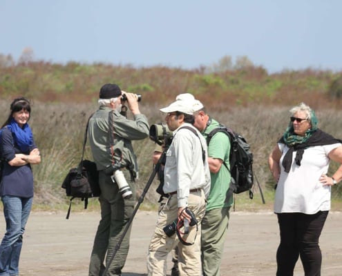 Iran Birding Tour – From Hyrcanian Forests To The Central Deserts Of Iran