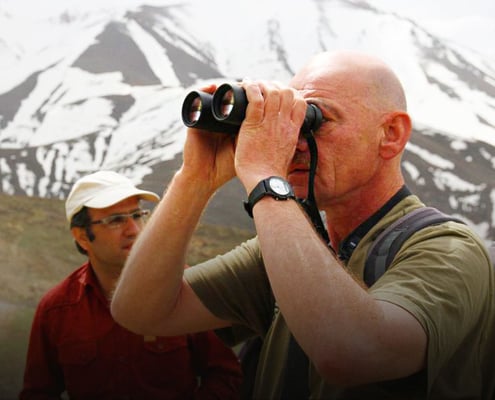 Iranbirdingtour Fromhyrcanianforeststothecentraldesertsofiran Surfiran