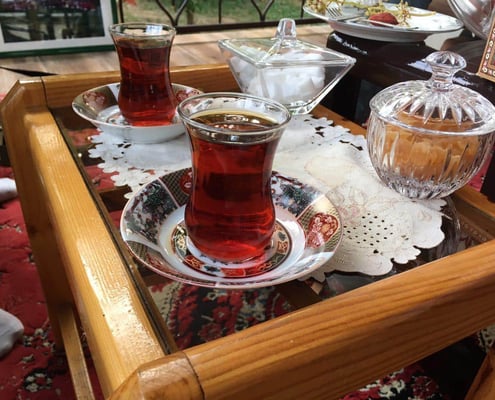 Iran Tea Farm Tours