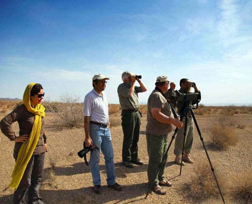 Iran Birdwatching and Nature tour Book on SURFIRAN