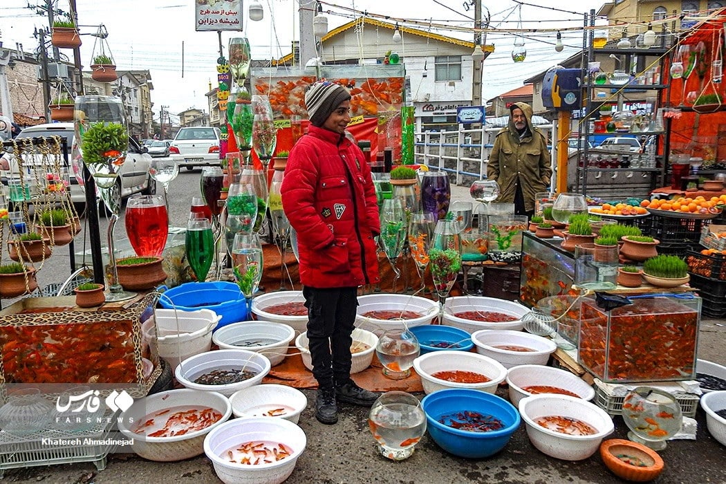 Nowruz Bazaar: A Cultural Celebration Of Iranian New Year 11 Traditional Nowruz Preparations And Rituals