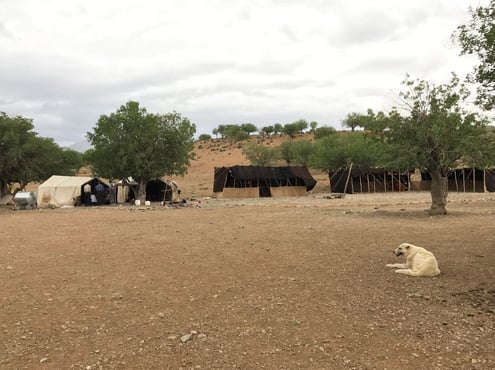 Homestay With An Iranian Nomad Family