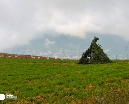 Parc national du Golestan en Iran en 3 jours