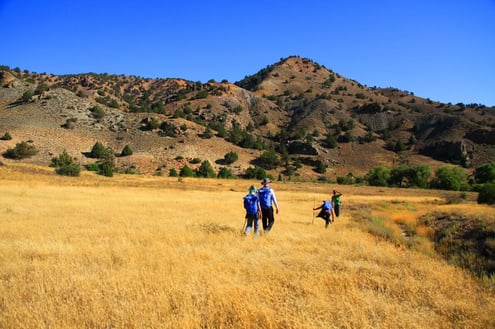 Golestan National Park Tour