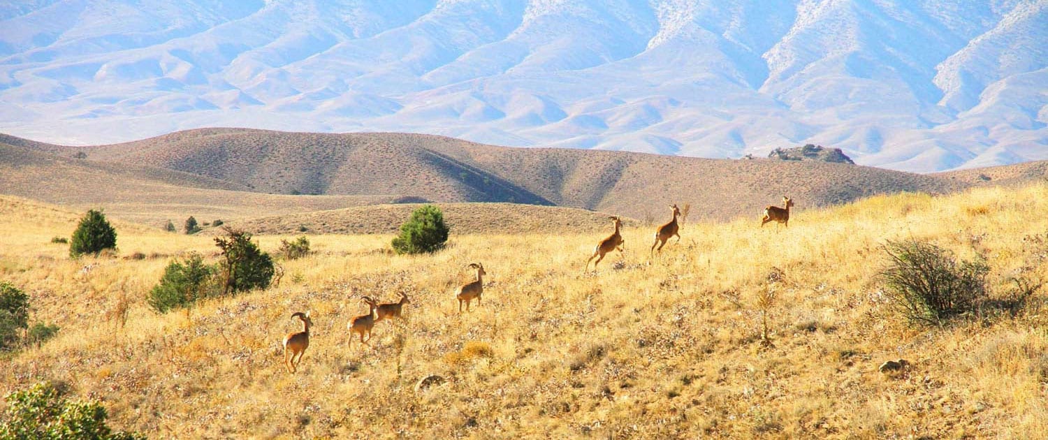 Trekking at Golestan National Park