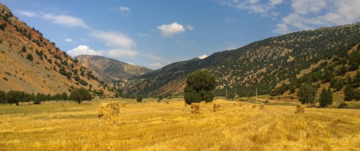 Trekking at Golestan National Park