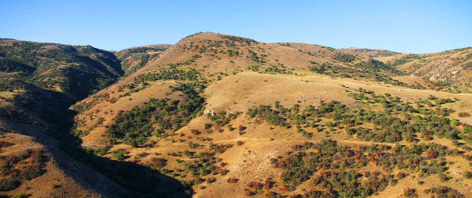 Trekking at Golestan National Park