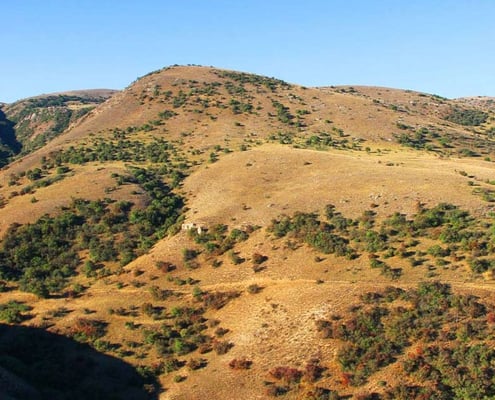 Trekking at Golestan National Park