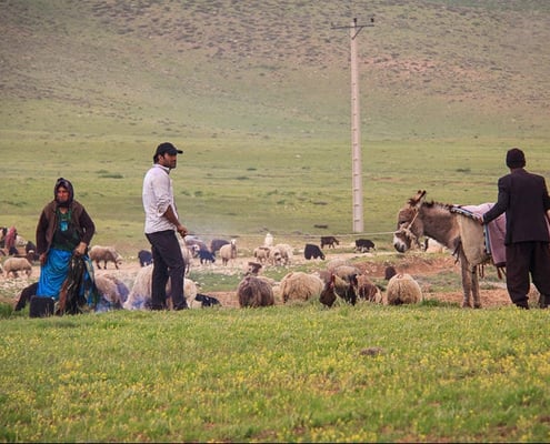 Iran Nomad Tour – Living with the Qashqai Tribes, Iran