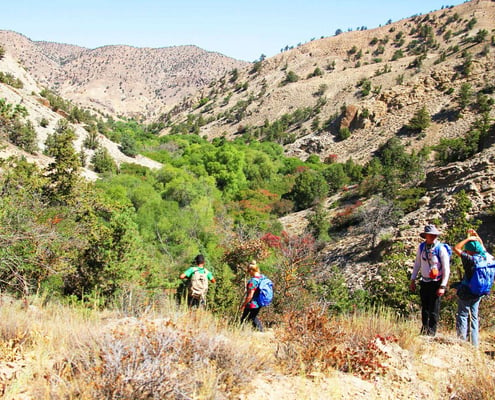 Golestan National Park Tour with SURFIRAN