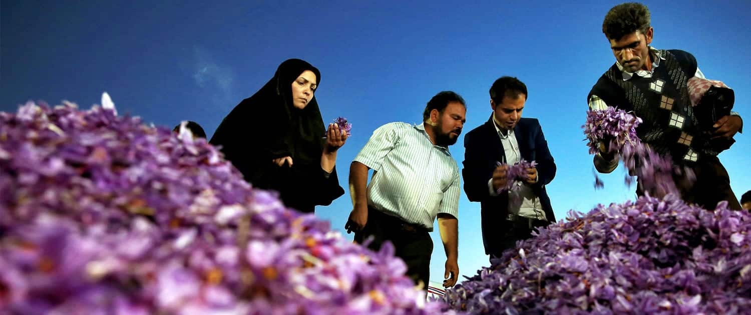 Iranian Saffron Tour
