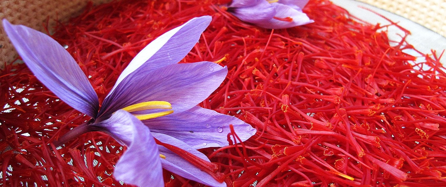 Iranian Saffron Tour