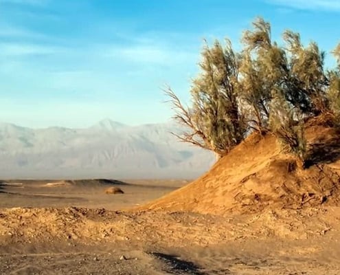 Nebka is the vessel of desert created by wind.