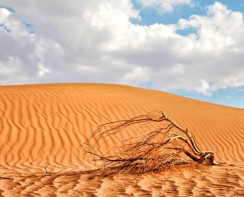 Пустыня Меср, фото Мохаммада Асади