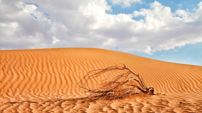 Пустыня Меср, фото Мохаммада Асади