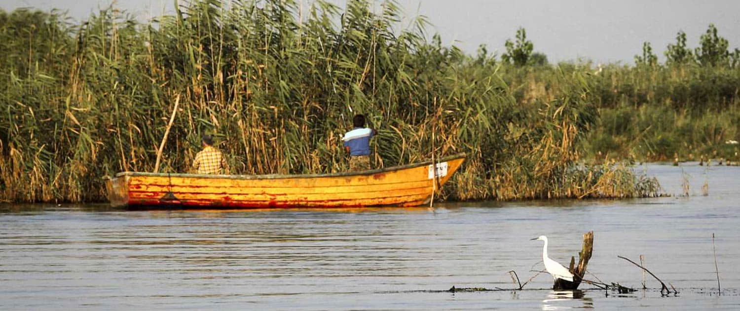 Anzali Wetland Anzali Wetland