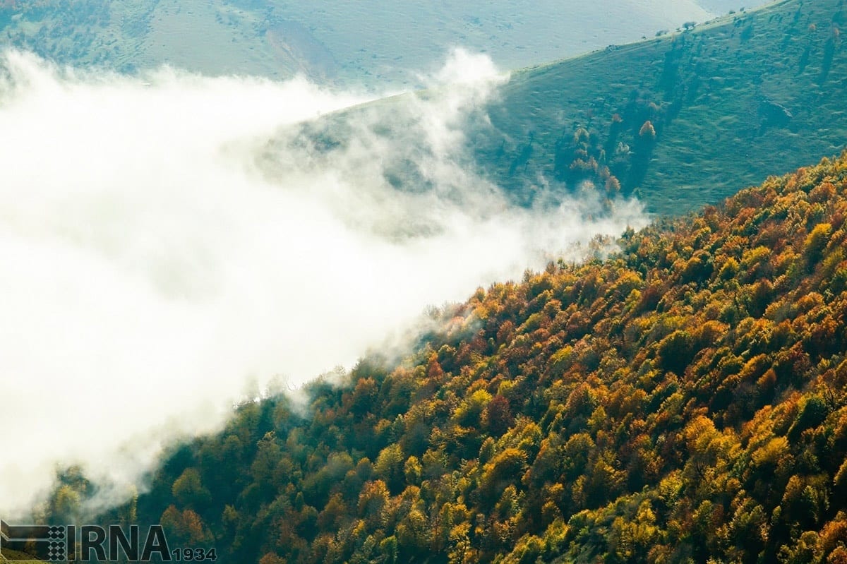 Asalem To Khalkhal: The Most Scenic Forest Road Of Iran