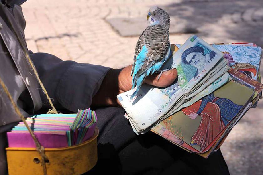 Fal The Practice Of Fortune Telling Fal The Practice Of Fortune Telling