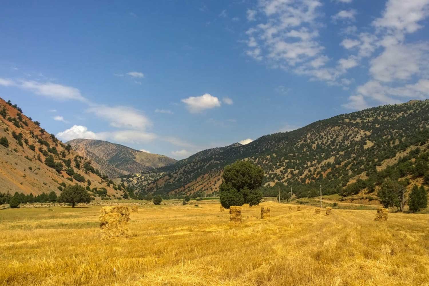 Golestan National Park Golestan National Park