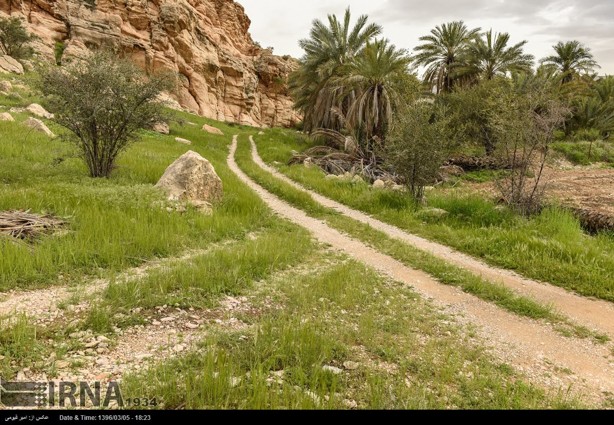 Spring Nature Of Fars Province Spring Nature Of Fars Province