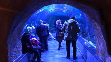 The Largest Aquarium Tunnel In Iran Opens In Bandar E Anzali
