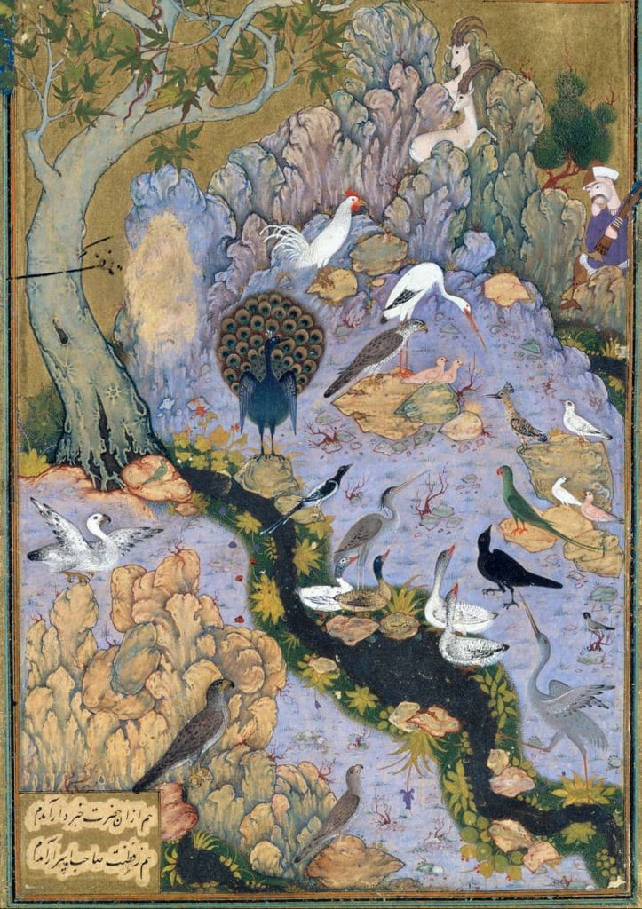The Conference Of The Birds