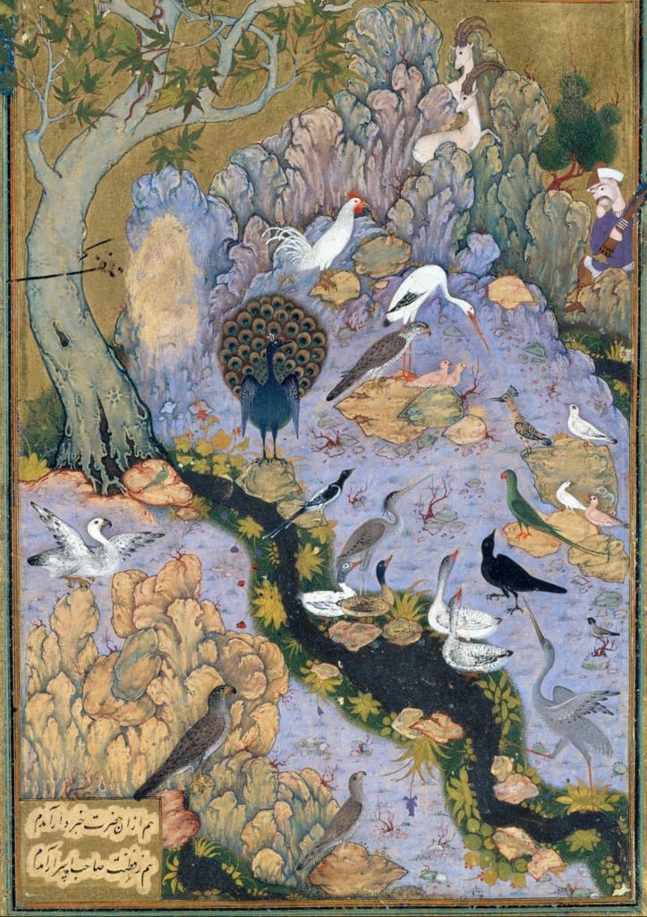 The Conference Of The Birds The Conference Of The Birds
