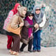 Embrace Iran's Beauty: 9-Day Muslim-Friendly Tour