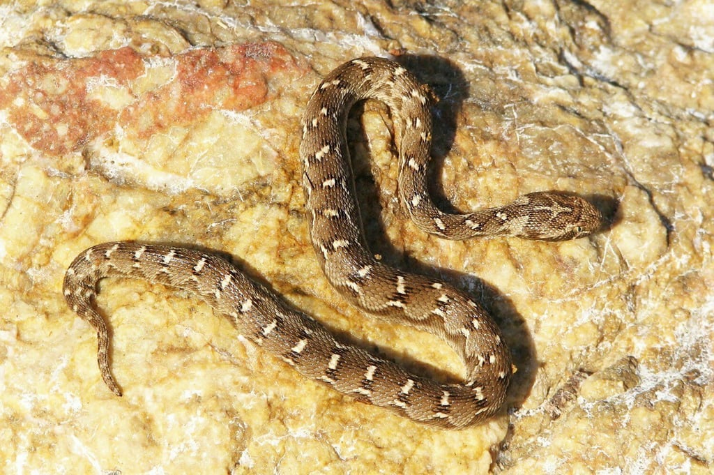 Turan National Park Image