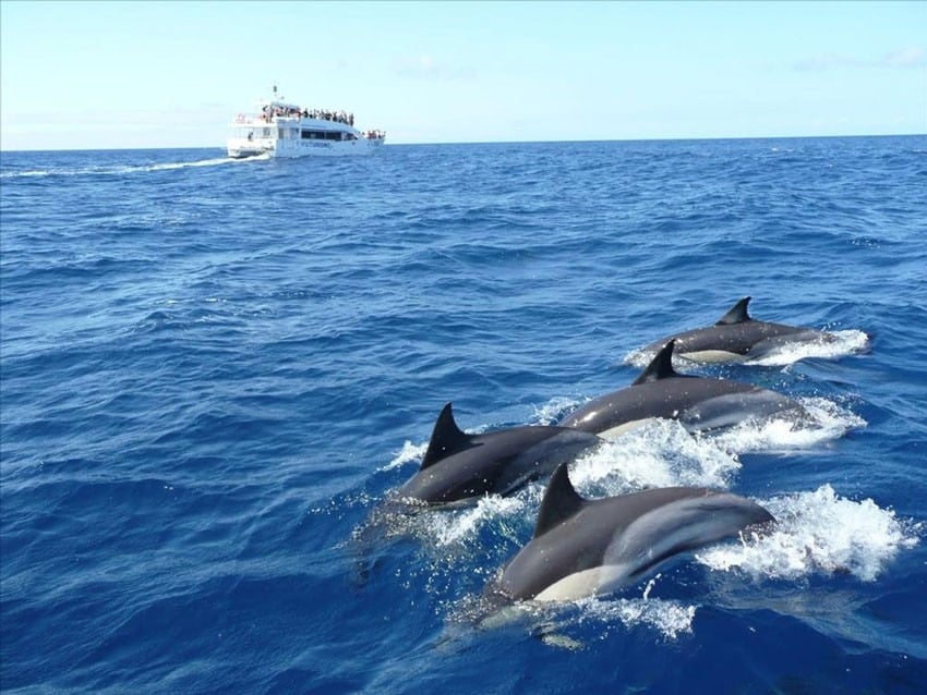 Qeshm Travel Guide Qeshm Travel Guide