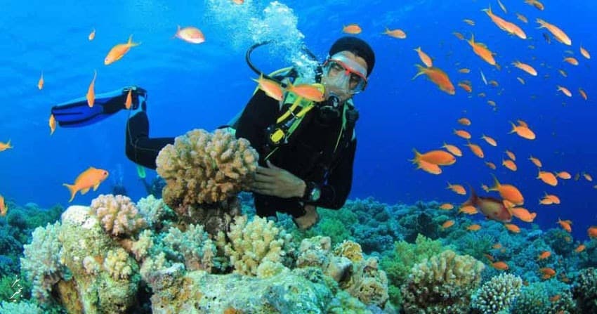 Qeshm Travel Guide Qeshm Travel Guide