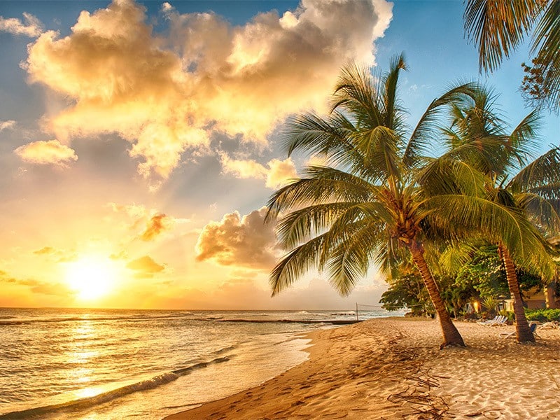 Kish Travel Guide Image