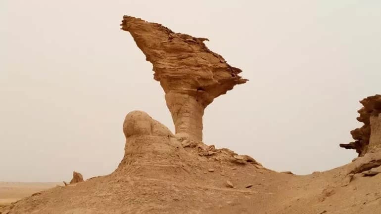 Bandar Abbas Travel Guide Image