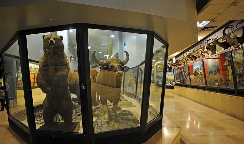 Pardisan Biodiversity Museum By Tehran Times