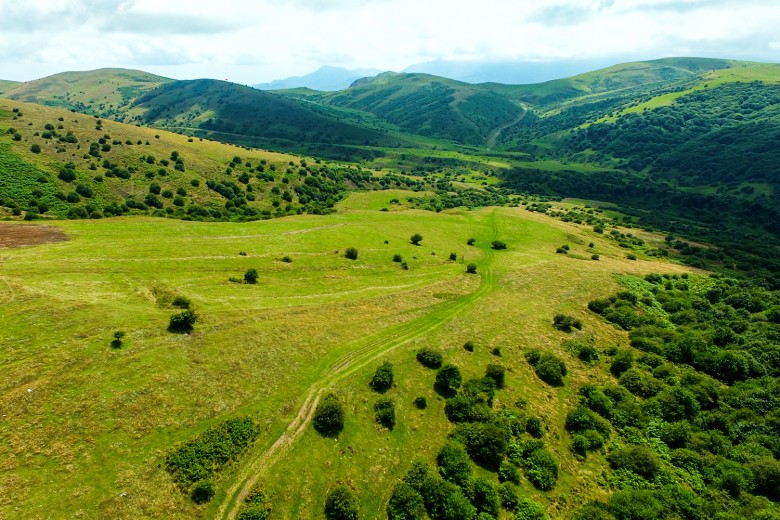 Fandoqloo Forest Fandoqloo Forest