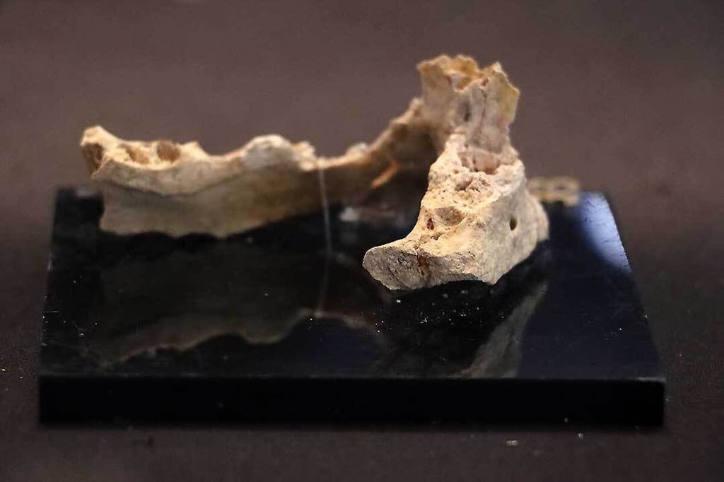 175,000-Year-Old Neanderthal Tooth Found on Dig in Iran