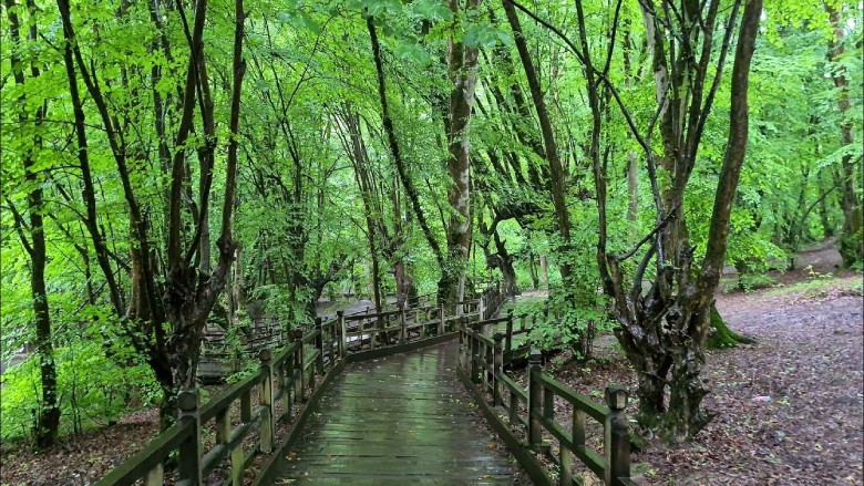 Alangdareh Park Alangdareh Park