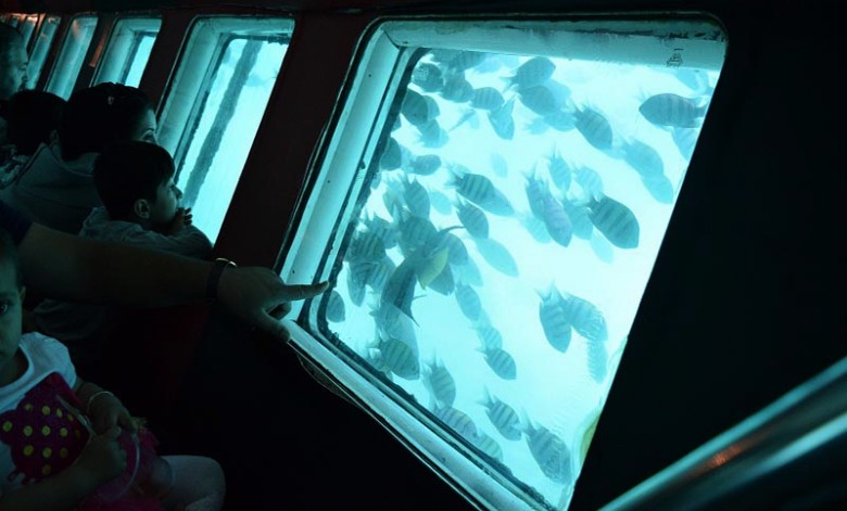 Inside Kish Aquarium Ships
