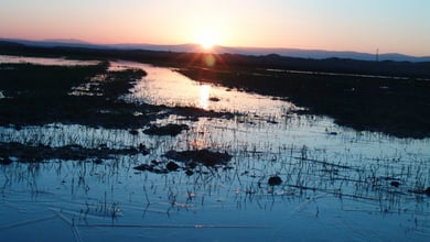 Discover Almagol Wetland In Golestan 3 Almagol Wetland In Golestan Province, Iran