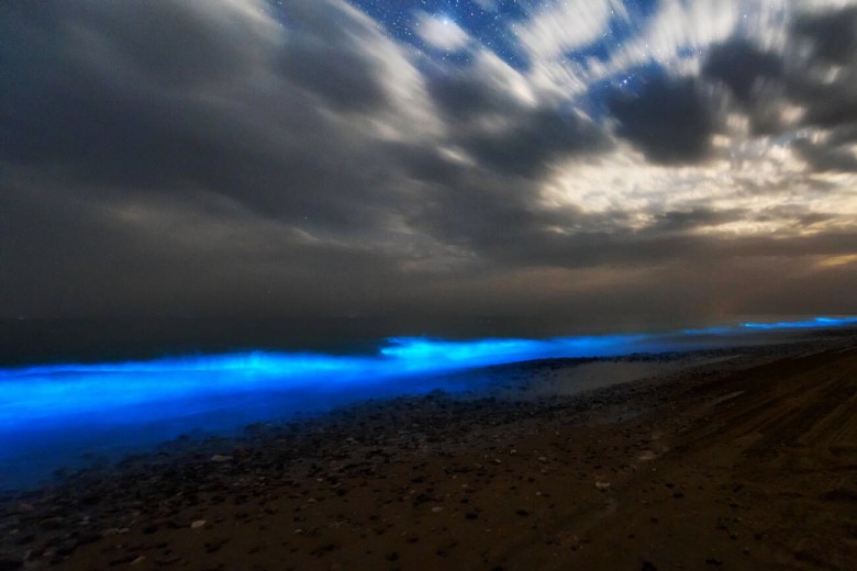 The Best Time To Visit Chabahar, The Port Of Wonders In Iran! 2 Bioluminescence Lighting In Darak Beach, Chabahar