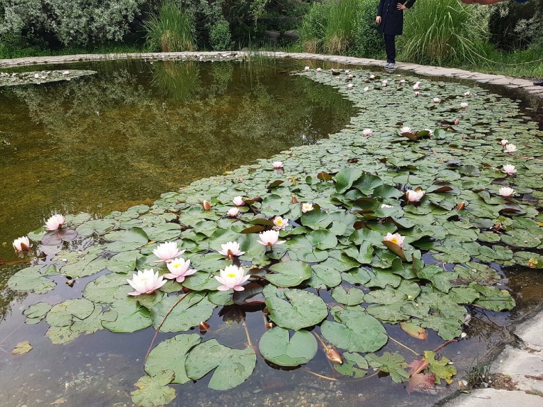 Botanical Garden of Tehran Iran