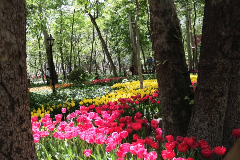 Flower Garden in Tehran Botanical Garden