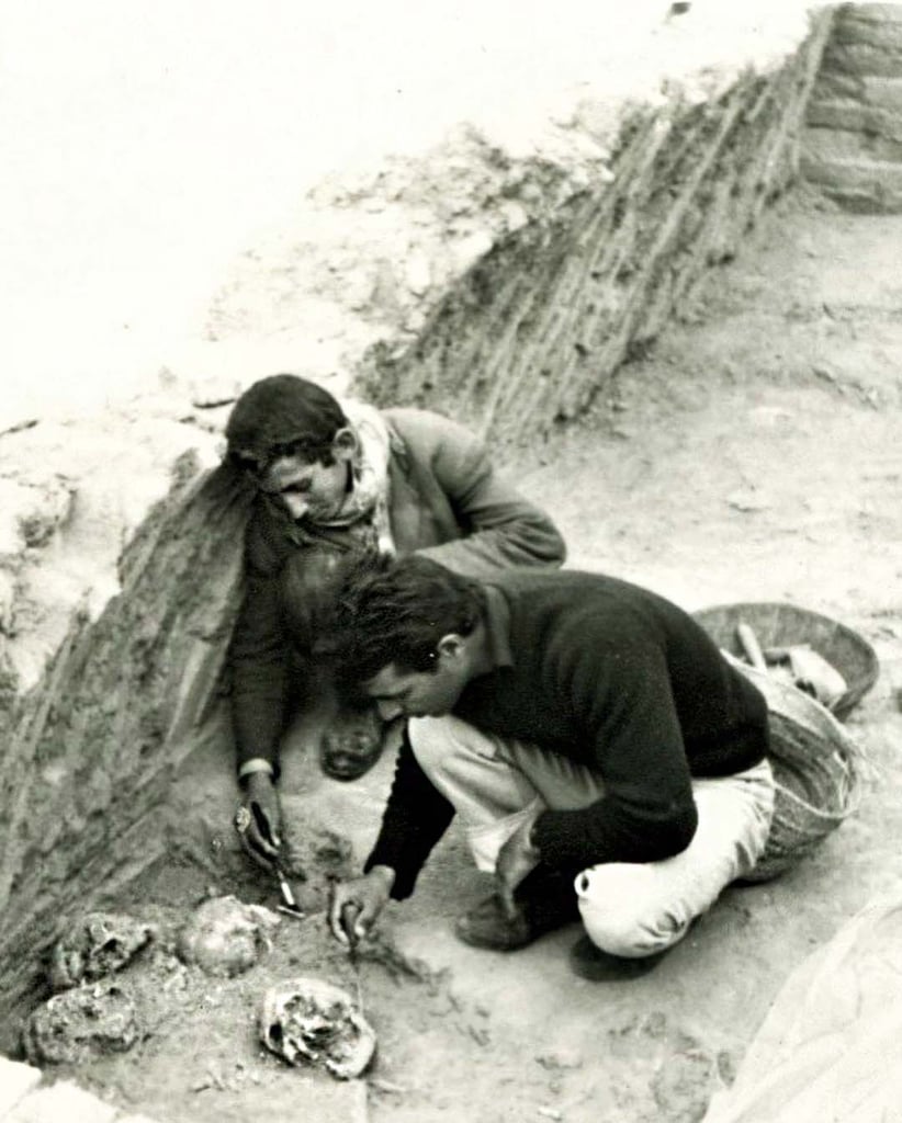 The mass grave at the Haft Tappeh Archaeological Site