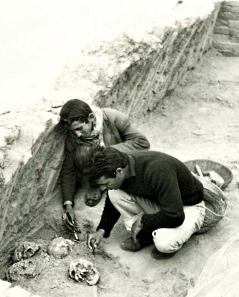 Haft Tappeh Archaeological Site: All You Need To Know 5 The Mass Grave At The Haft Tappeh Archaeological Site