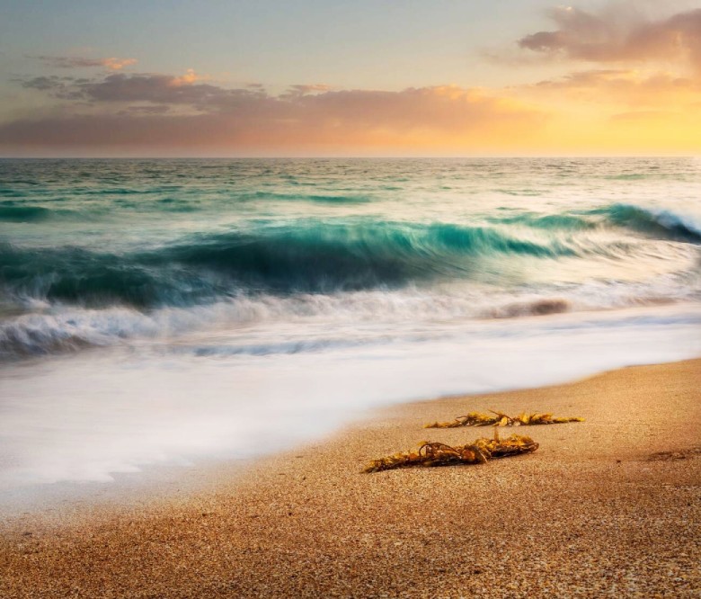 The Best Time To Visit Chabahar, The Port Of Wonders In Iran! 5 Photography At Chabahar Beaches