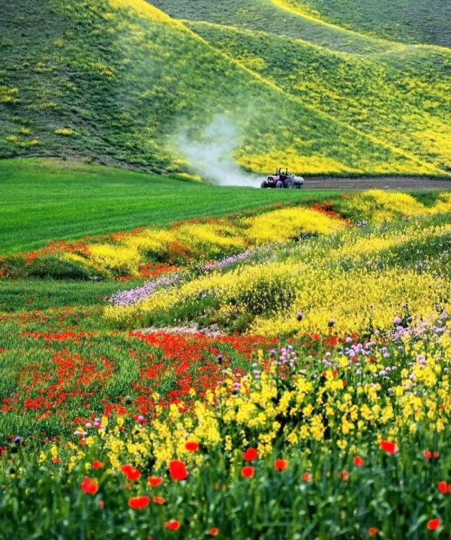 Turkmen Sahra: Experience The Authenticity And Adventure 7 The Beauty Of Turkmen Sahra&Amp;Apos;S Nature
